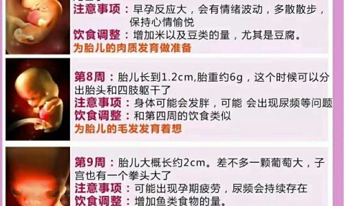 一动就头晕不动不晕怎么回事专区_一动就吐是怎么回事专区_一动就头晕一晕就出汗怎么回事网